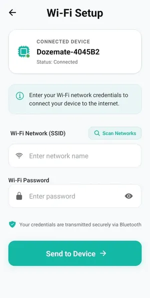 Wi-Fi Setup with the device connected, ready for the network details